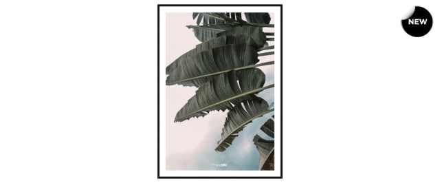 Palm Leaf διακοσμητικός πίνακας